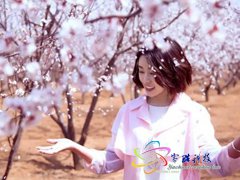周末去哪：距离西安40公里的杏花谷 免费游览